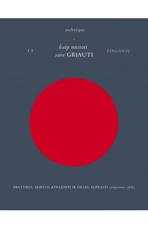 13 ŽINGSNIŲ KAIP NUSTOTI SAVE GRIAUTI. Pratybos, skirtos atpažinti ir giliau suprasti savigriovos ciklus